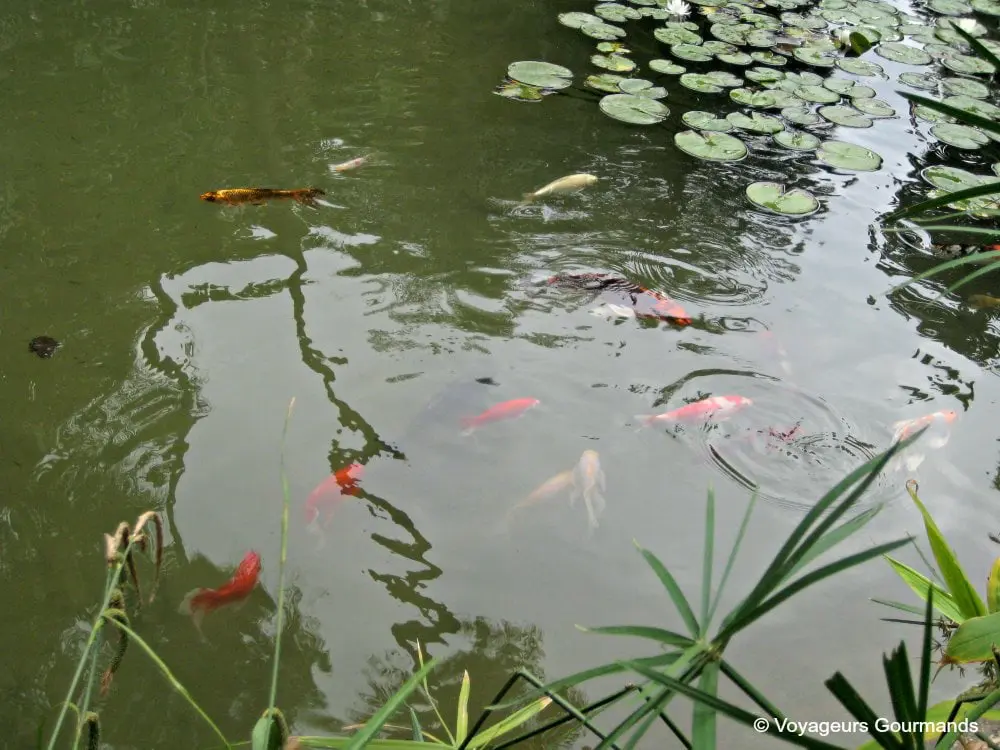 jardin dessai du hamma 28