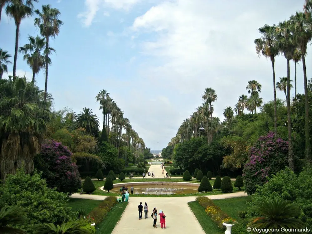 jardin dessai du hamma 5