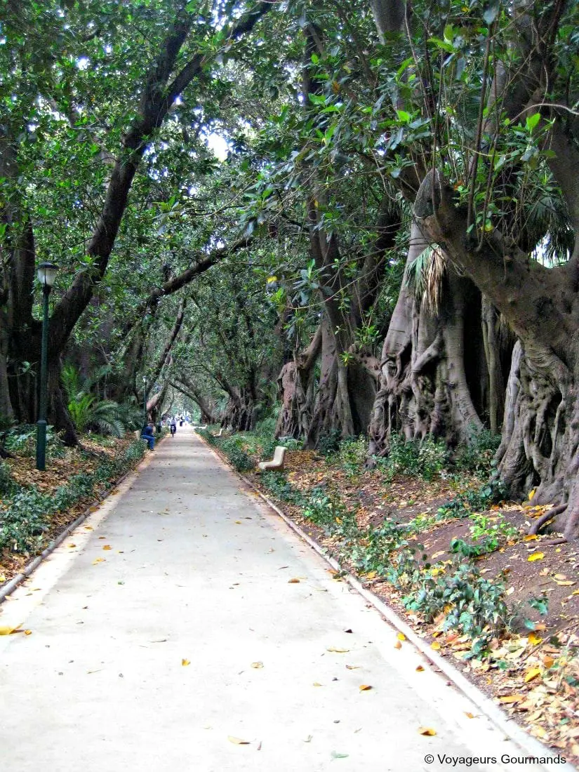 jardin dessai du hamma 8