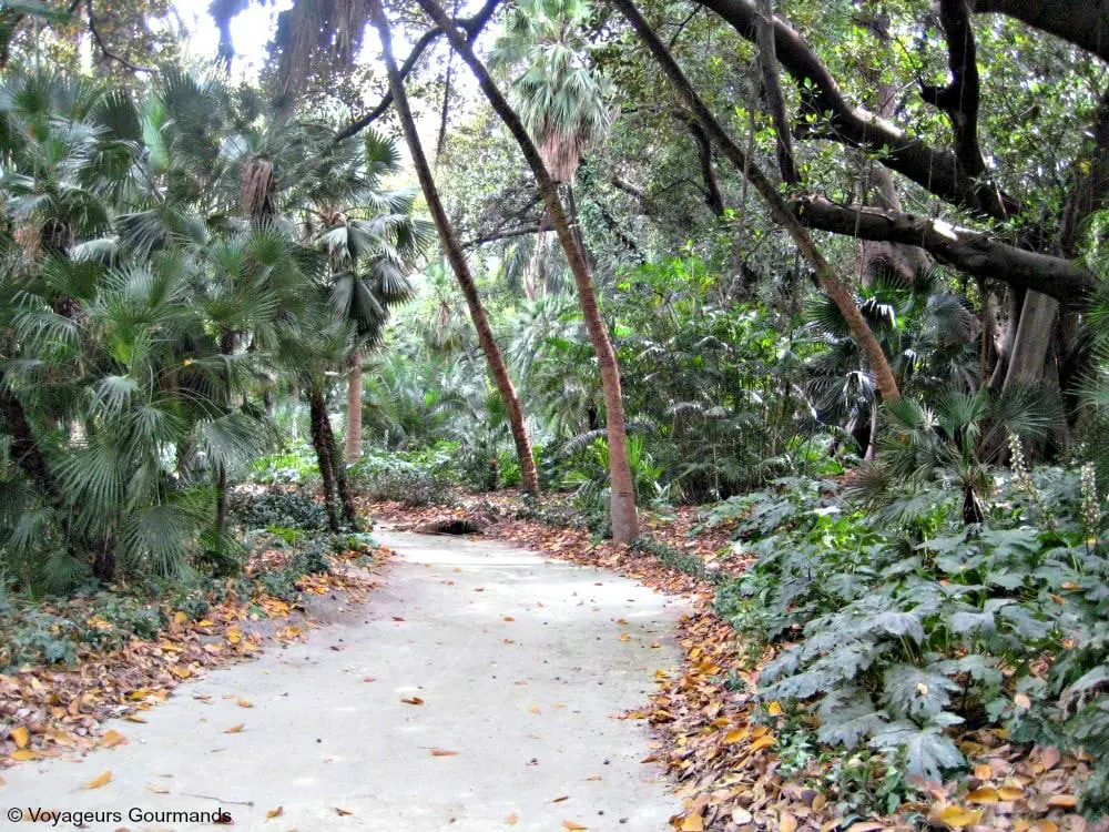 jardin dessai du hamma 9