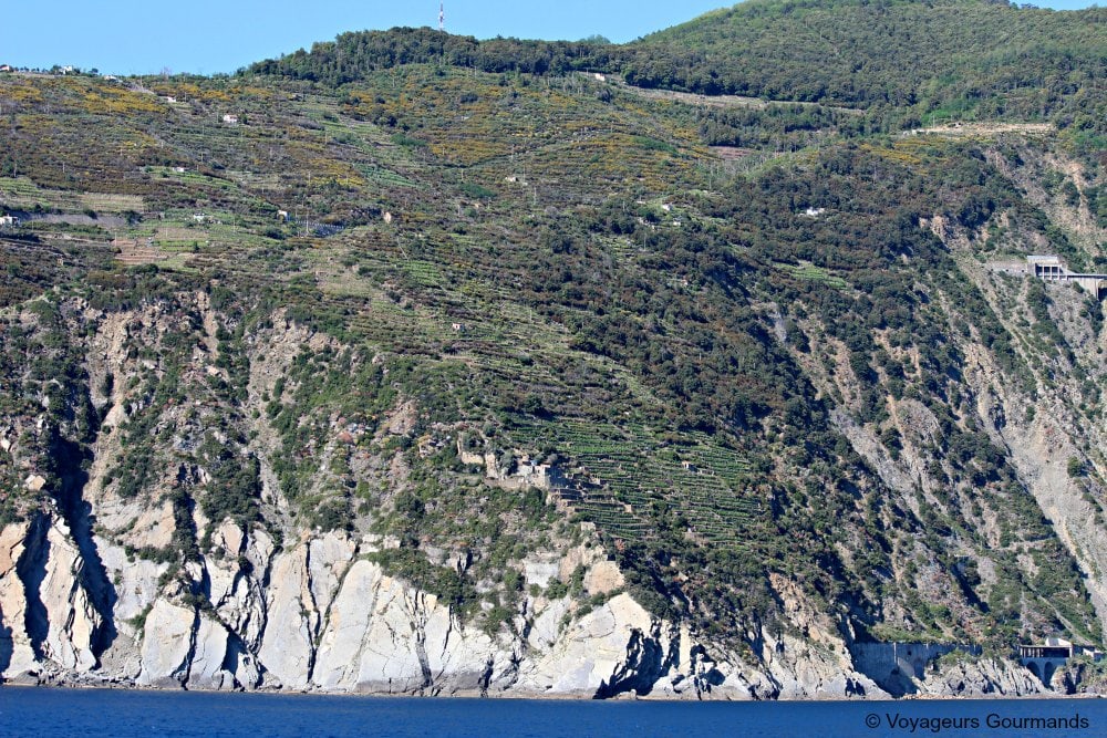 visiter les cinque terre