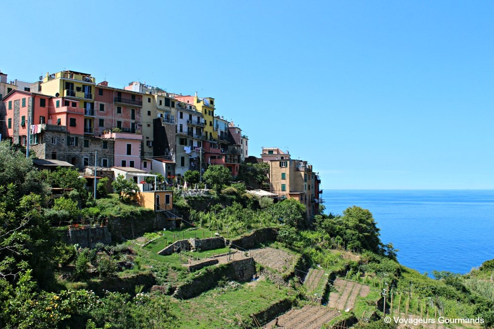 visiter les cinque terre 4