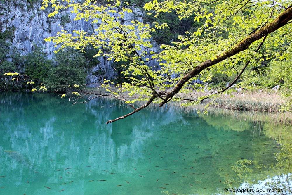 Lac de Plitvice