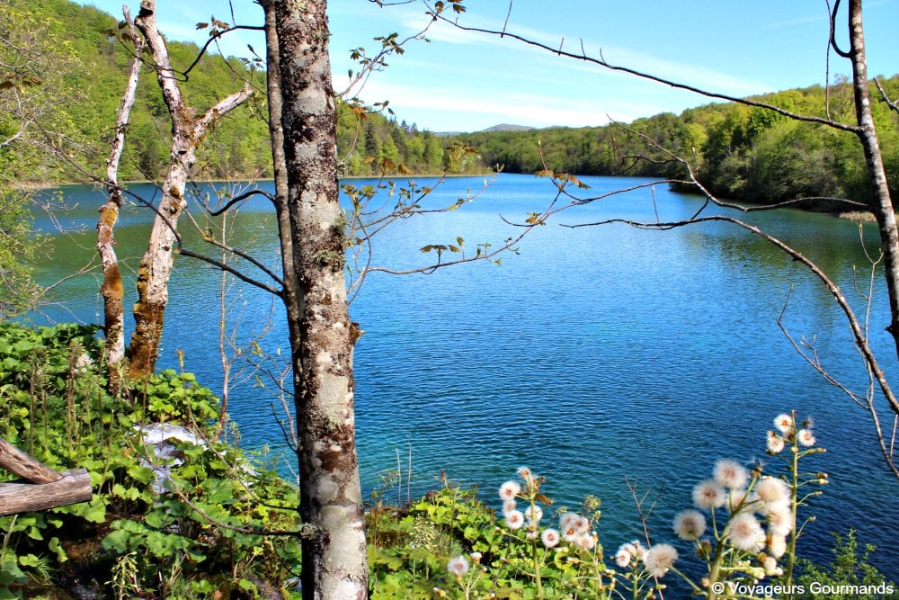 Lacs de Plitvice