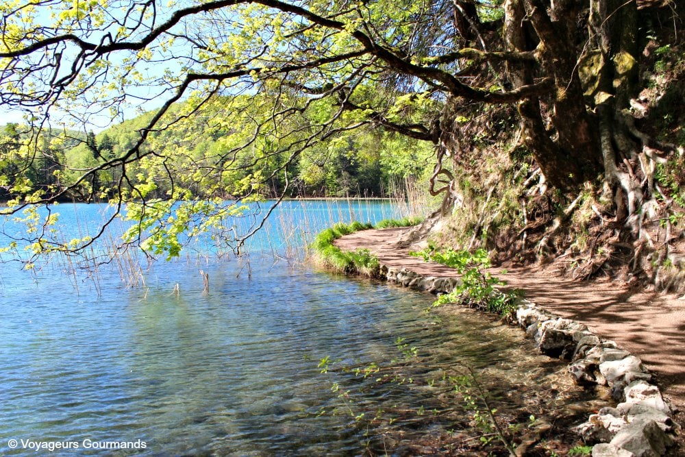 Lacs de Plitvice