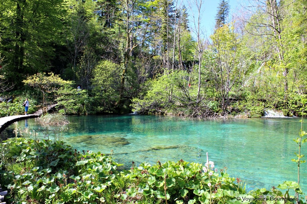 Lac de Plitvice