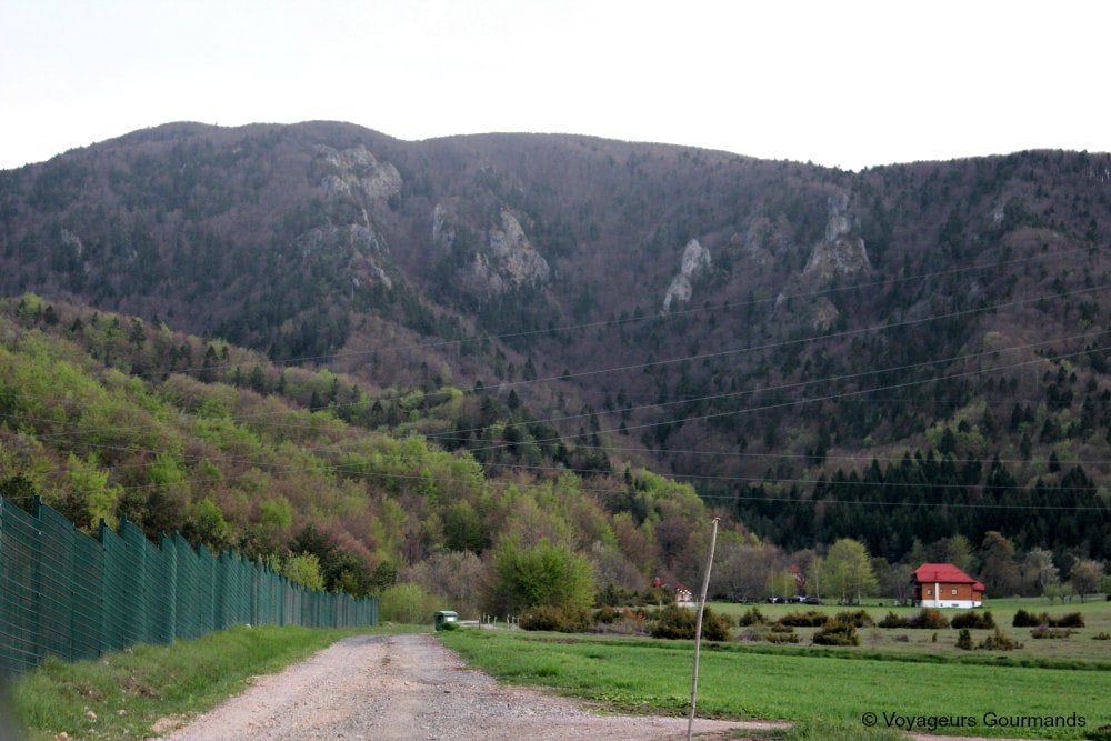 Lacs de Plitvice