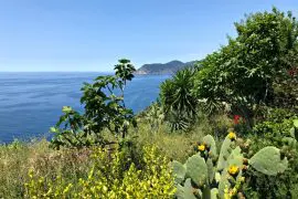 visiter les cinque terre