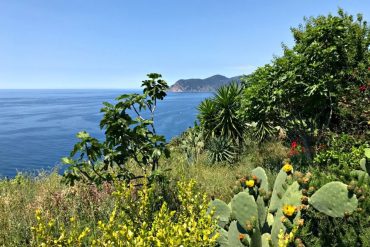 visiter les cinque terre