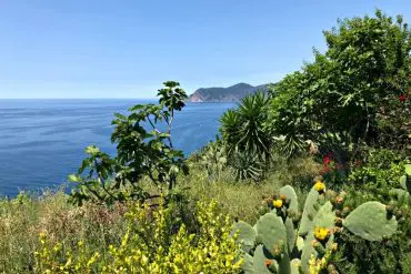 visiter les cinque terre