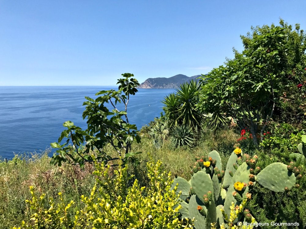 visiter les cinque terre