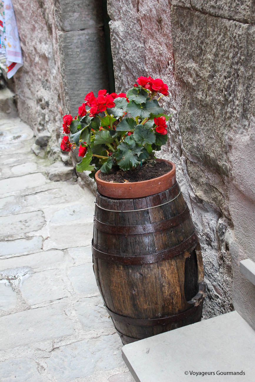 visiter les cinque terre