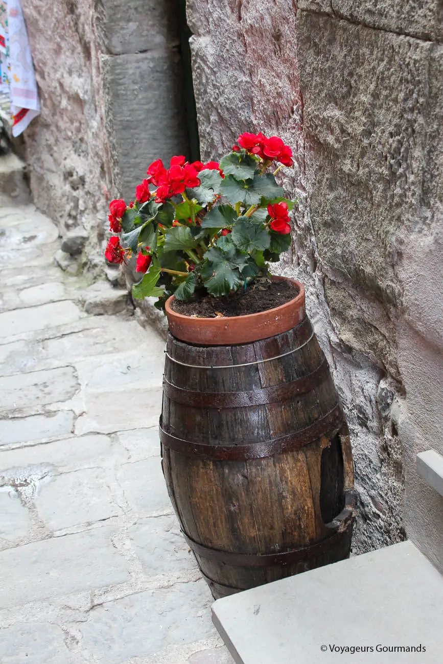 visiter les cinque terre 19