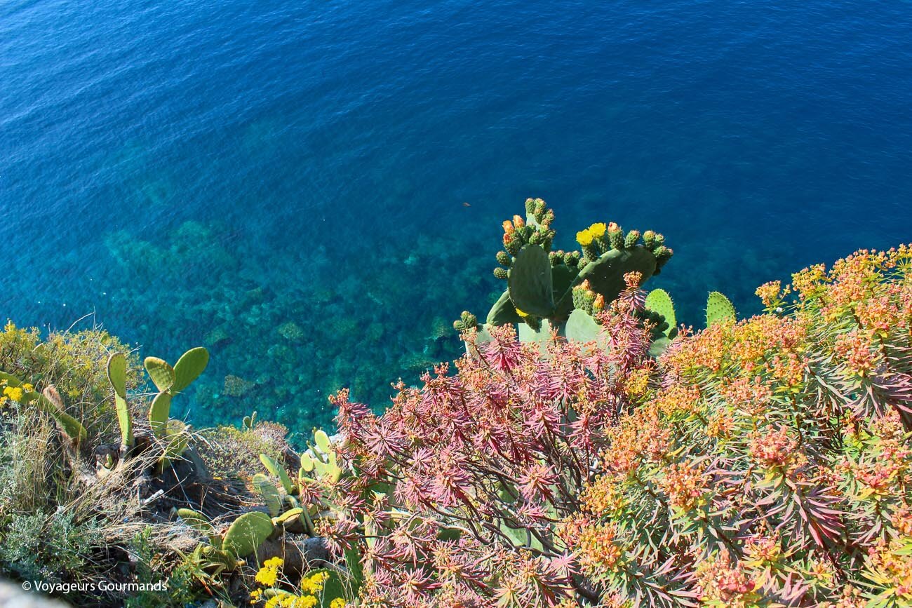visiter les cinque terre
