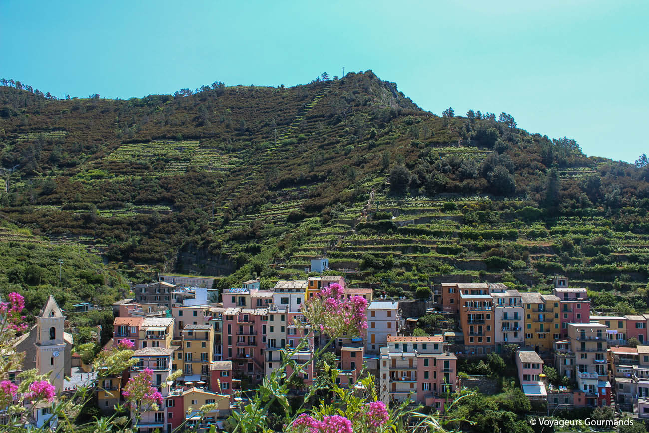 visiter les cinque terre