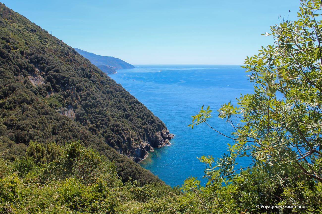 visiter les cinque terre 34