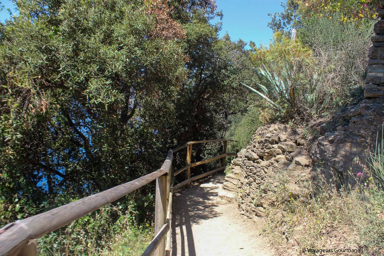 visiter les cinque terre 38