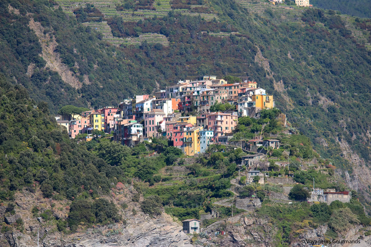 visiter les cinque terre