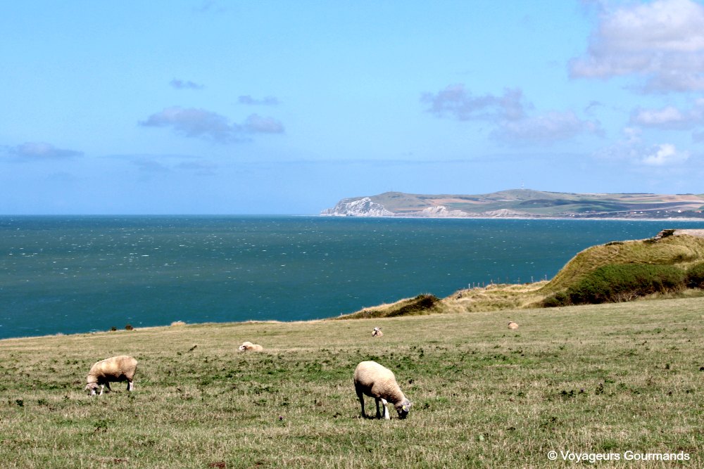 weekend sur la côte d'opale