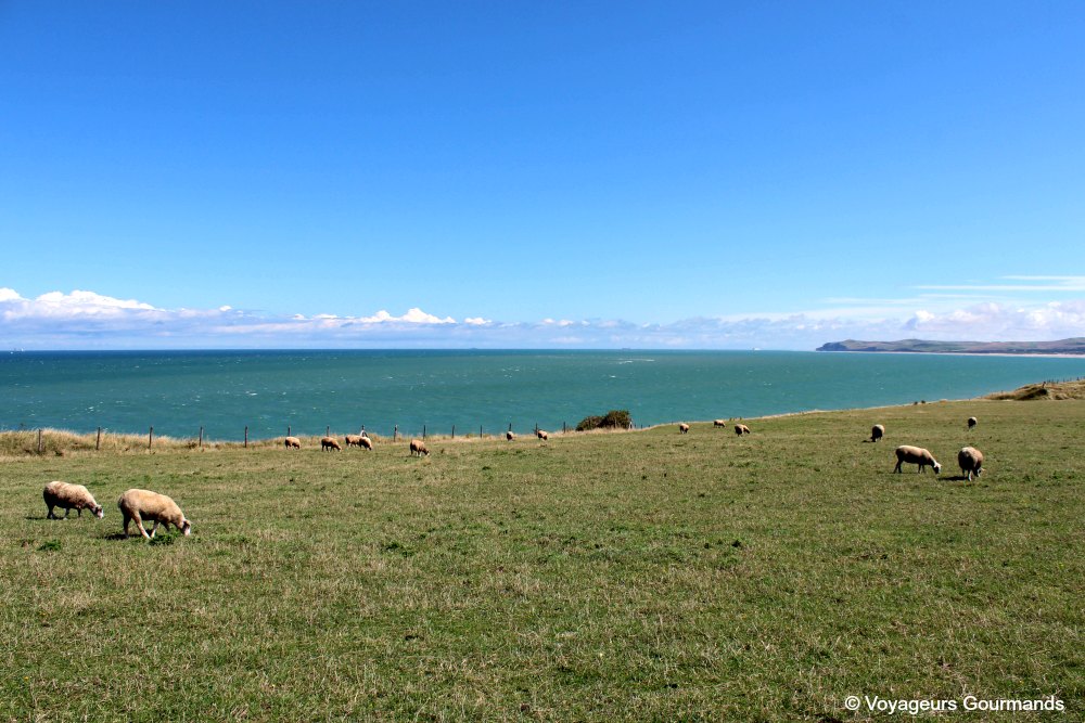weekend sur la côte d'opale