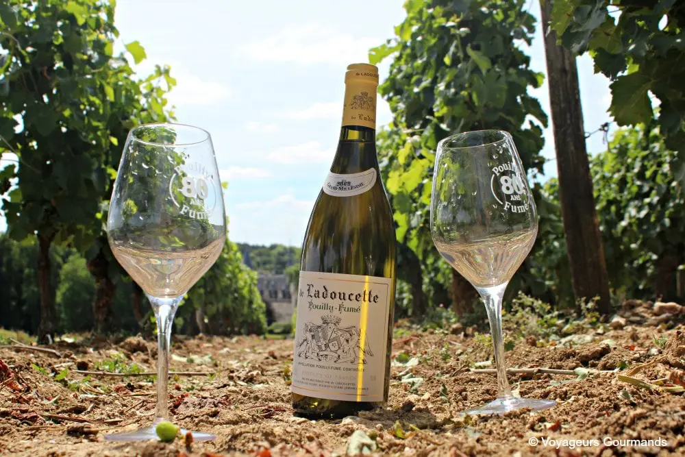 Pouilly sur loire 18