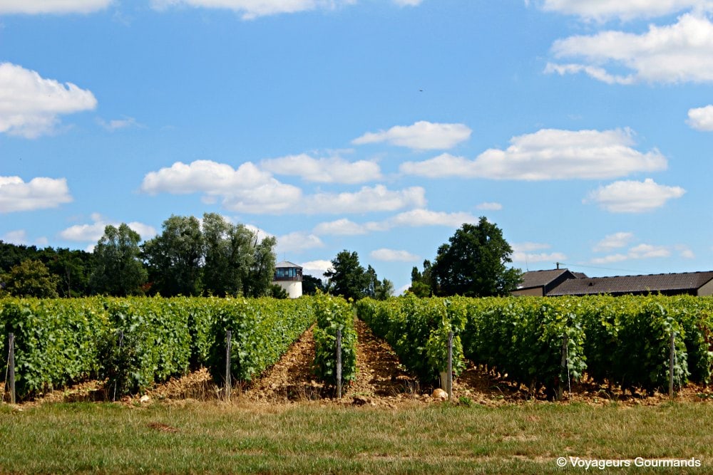 Pouilly sur loire 19
