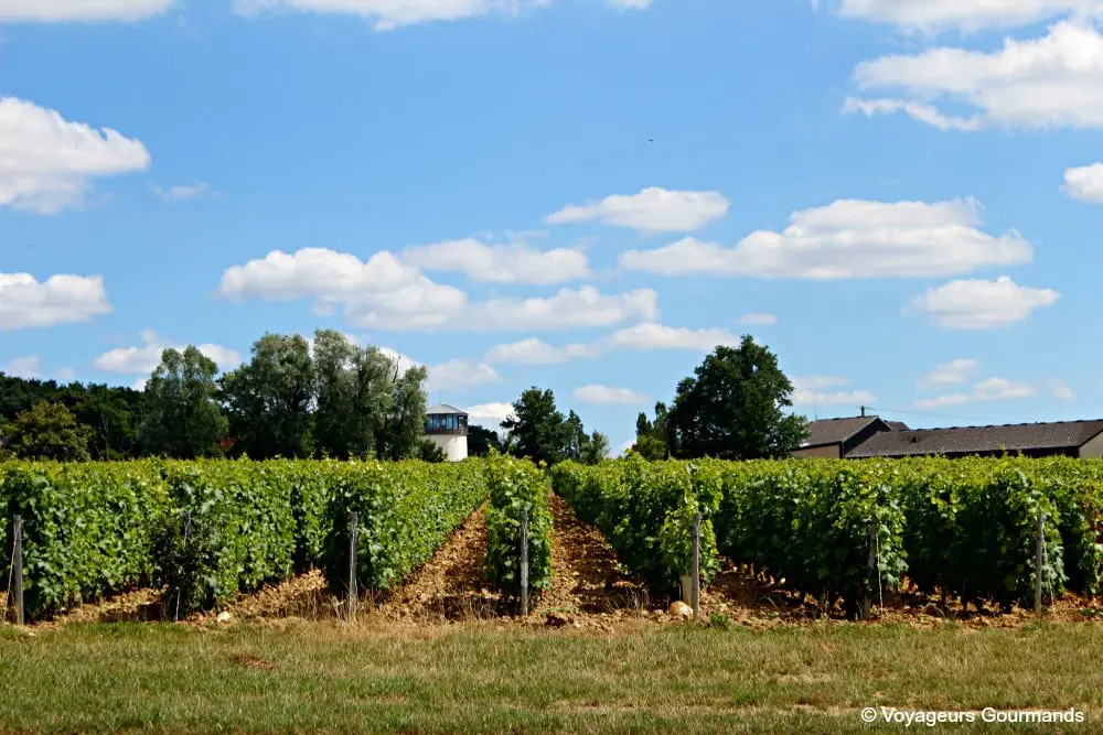 Pouilly sur loire 19
