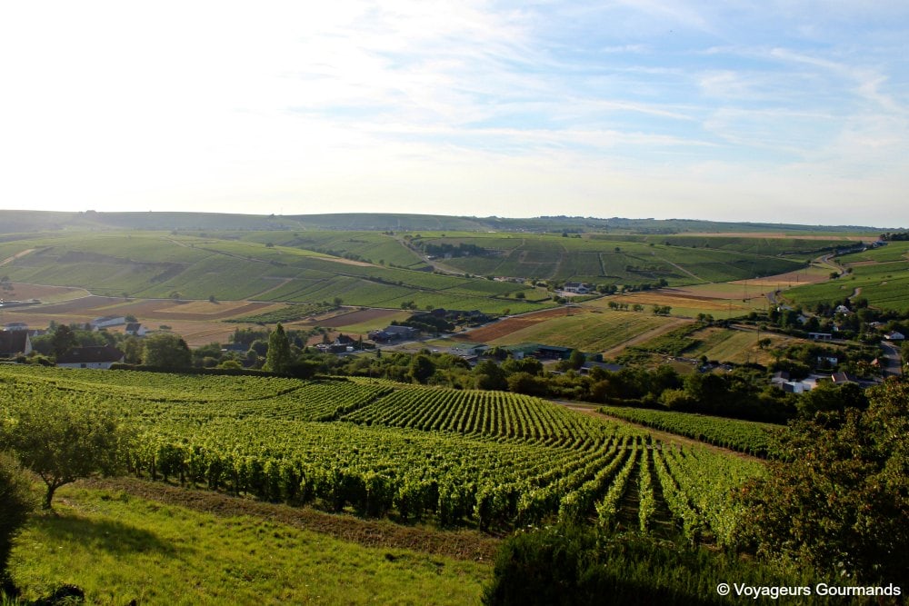 Pouilly sur loire