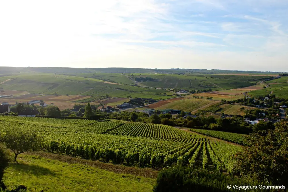 Pouilly sur loire 21