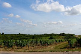 Pouilly sur loire