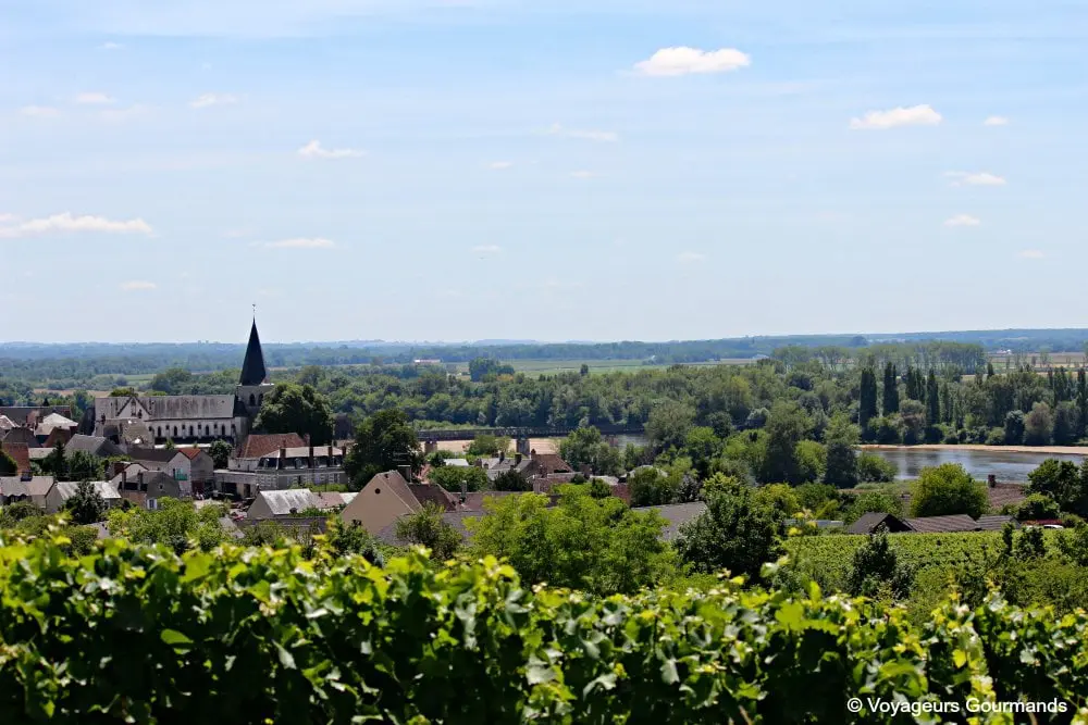 Pouilly sur loire 4