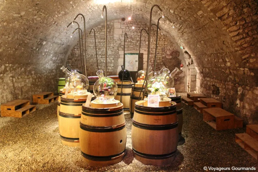 Pouilly sur loire 8