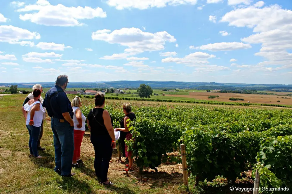 Pouilly sur loire 9