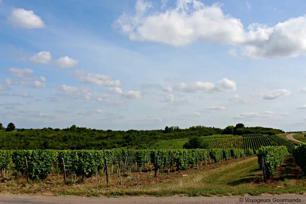Pouilly sur loire