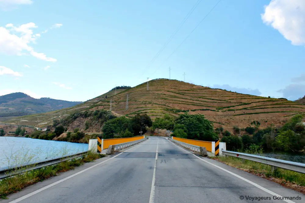 Valle du douro 8