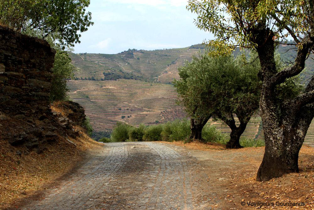 Vallée du douro