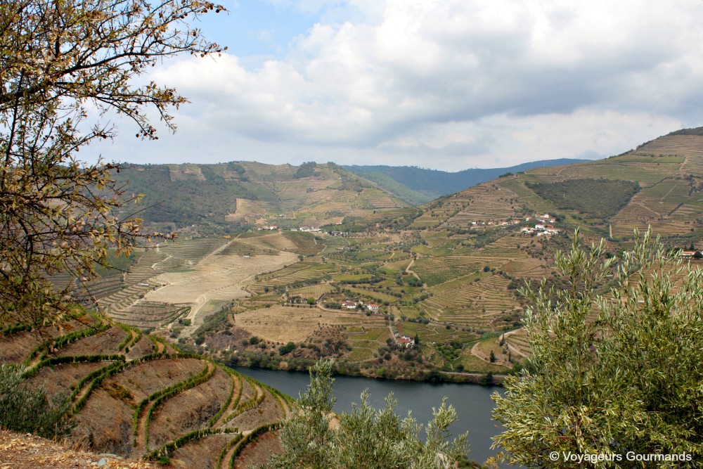 Vallée du douro