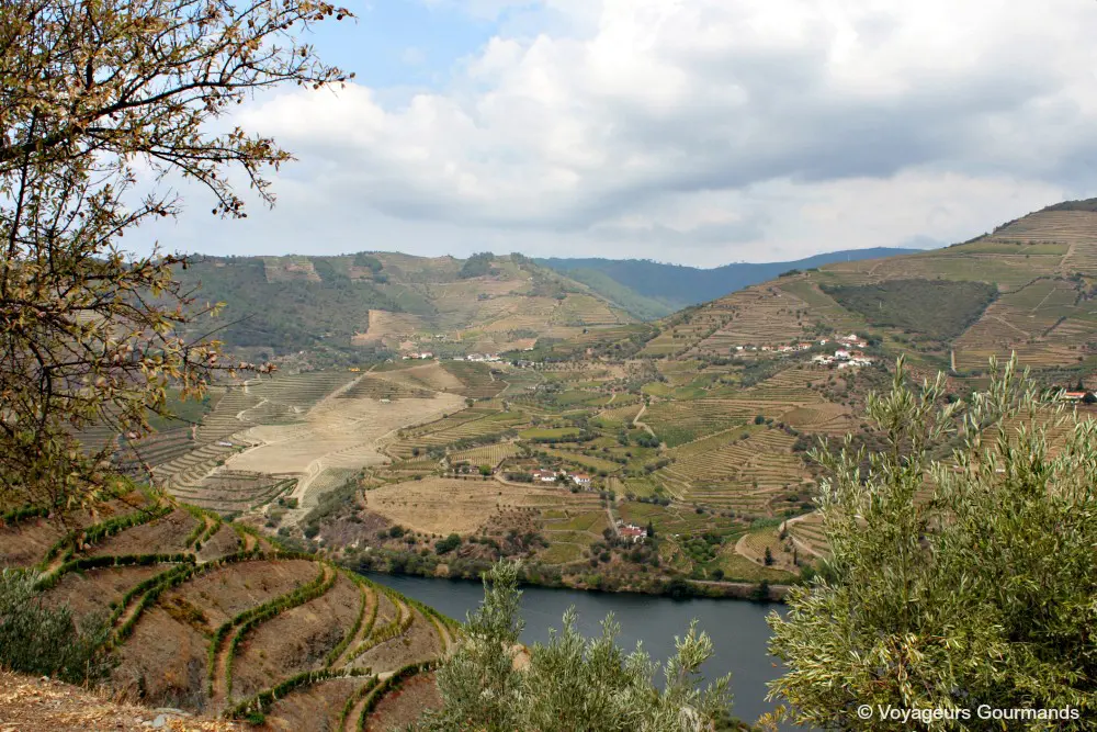 Vallee du douro 20