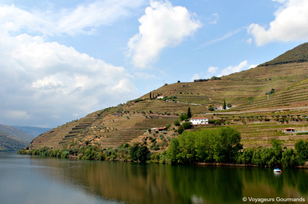 Vallée du douro