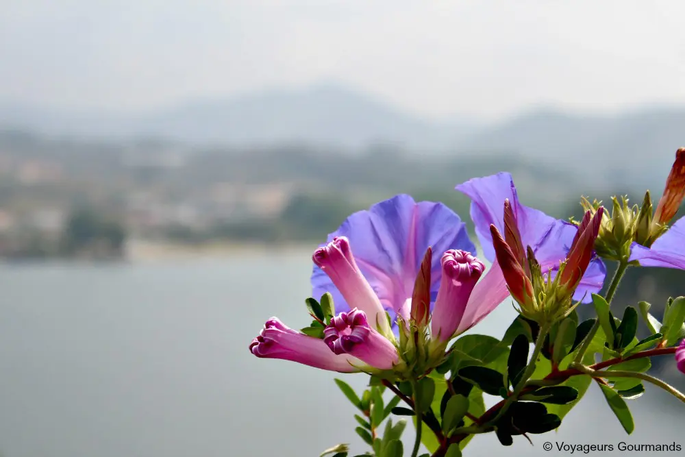 Vallee du douro 22