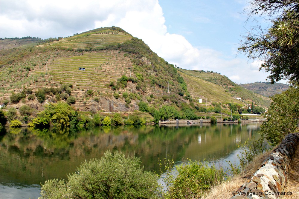 Vallée du douro