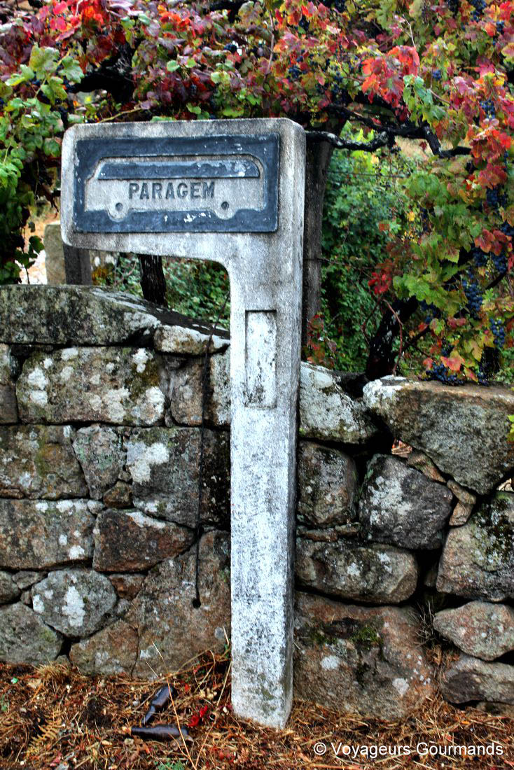 Vallée du douro