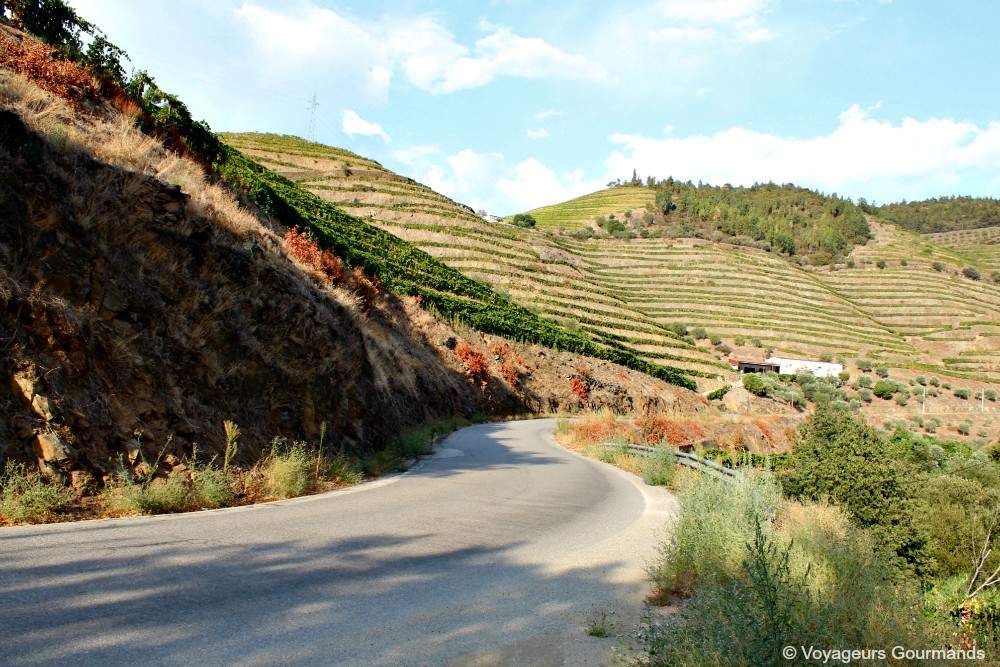 Vallée du douro