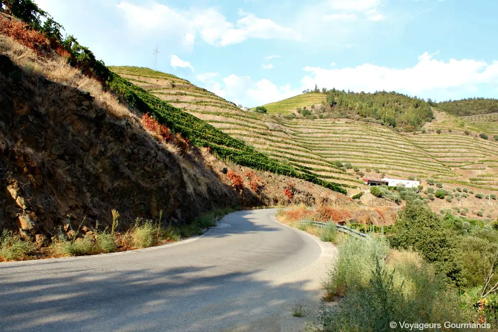 Vallee du douro 28