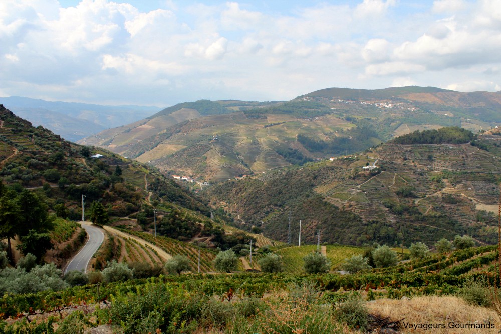 Vallée du douro