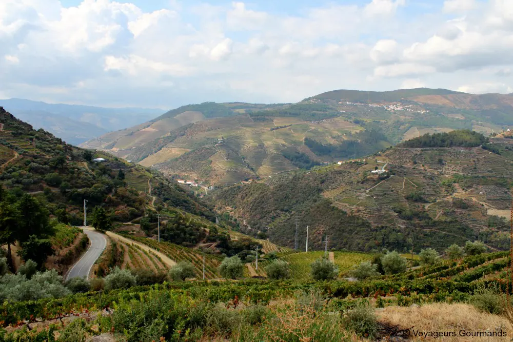 Vallee du douro 30