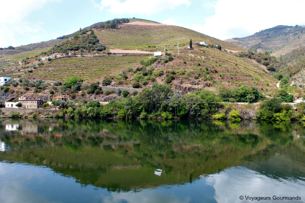 Vallée du douro