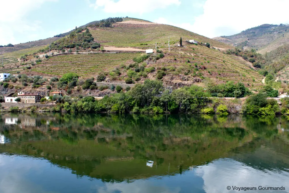 Vallee du douro 31