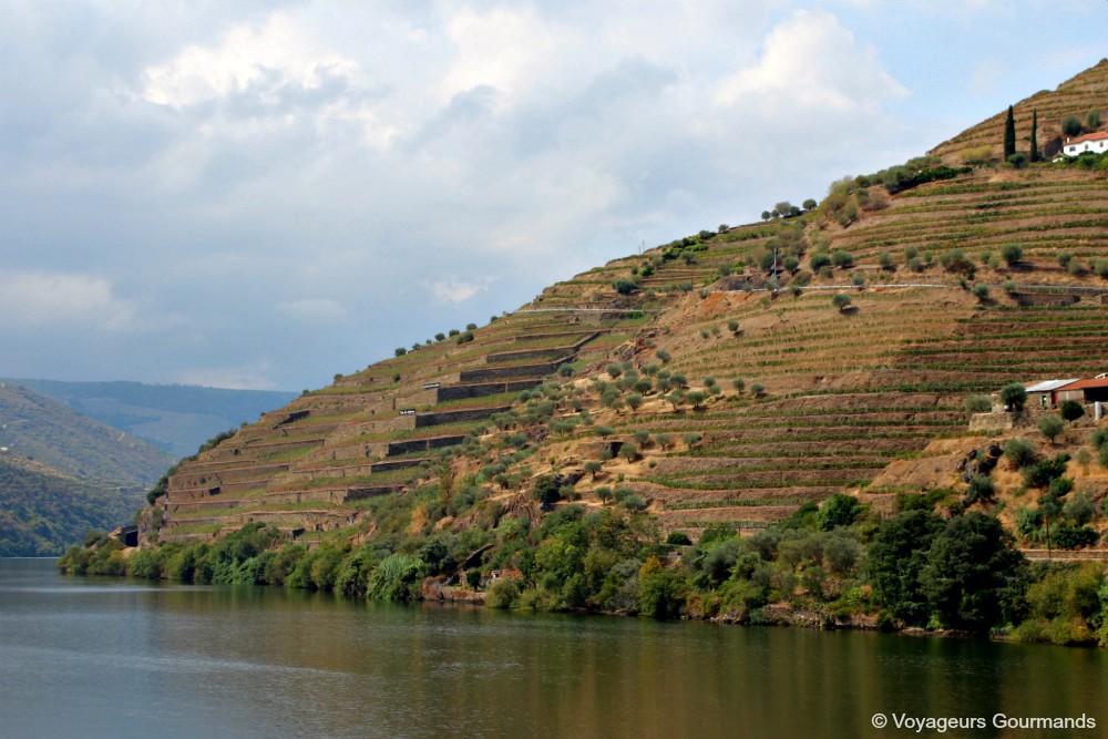 Vallée du douro
