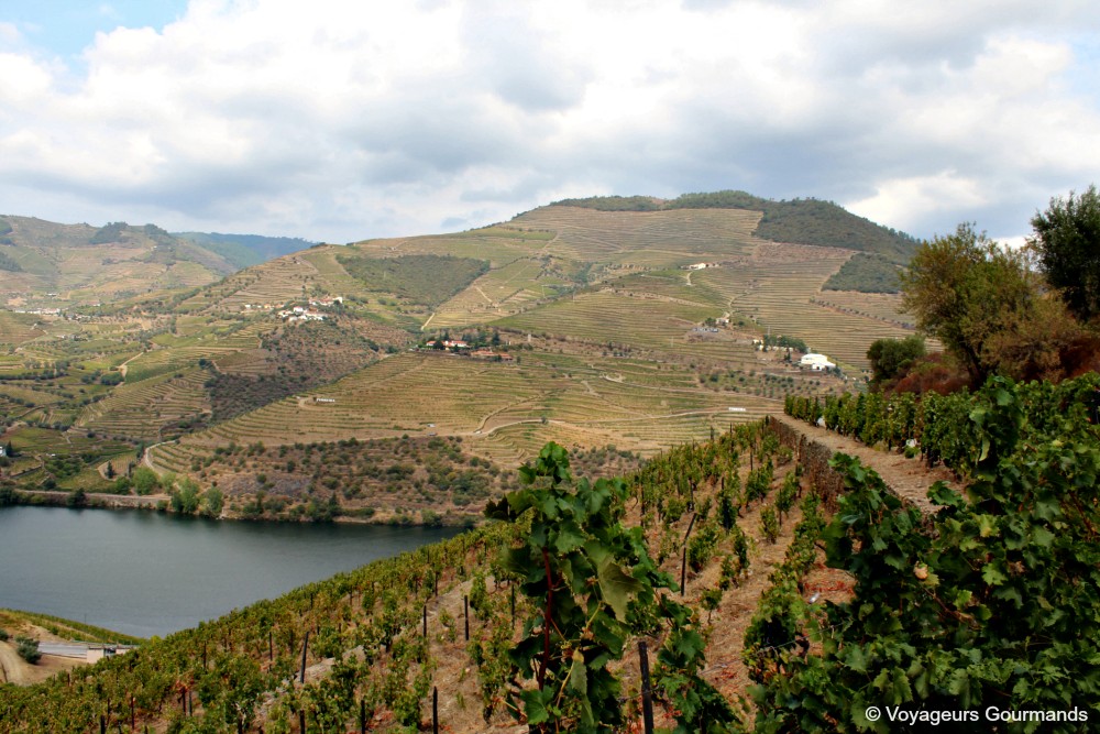 Vallée du douro